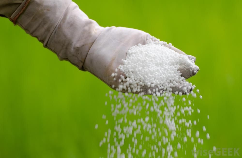 Chemicals & Fertilizers
