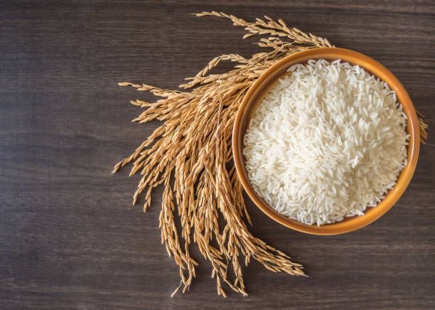 Rice