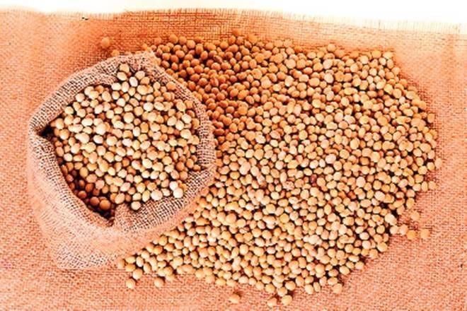 Soya Beans